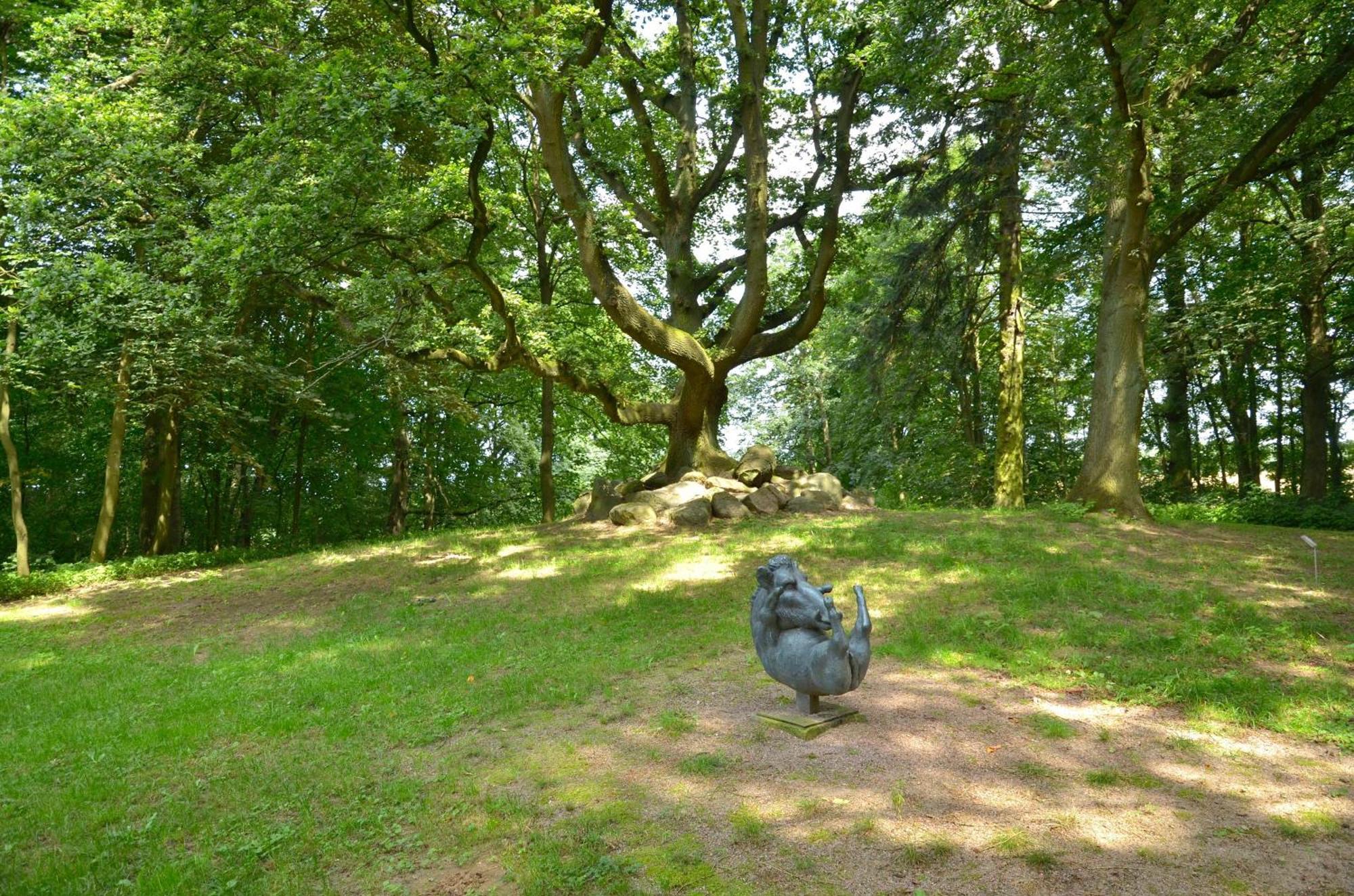 Jagdschloss Zu Hohen Niendorf Fewo 7 ภายนอก รูปภาพ